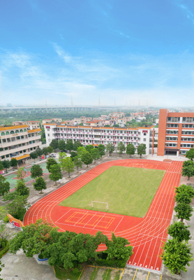 板芙中学-混合型