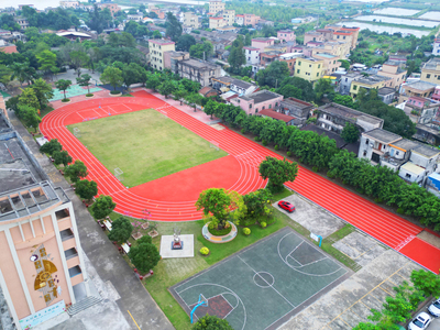 板芙小学-混合型